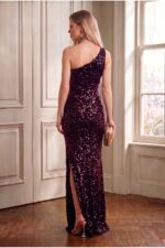 Trend Bordo Kadife Pullu Elbise - Bordo - Görsel 4